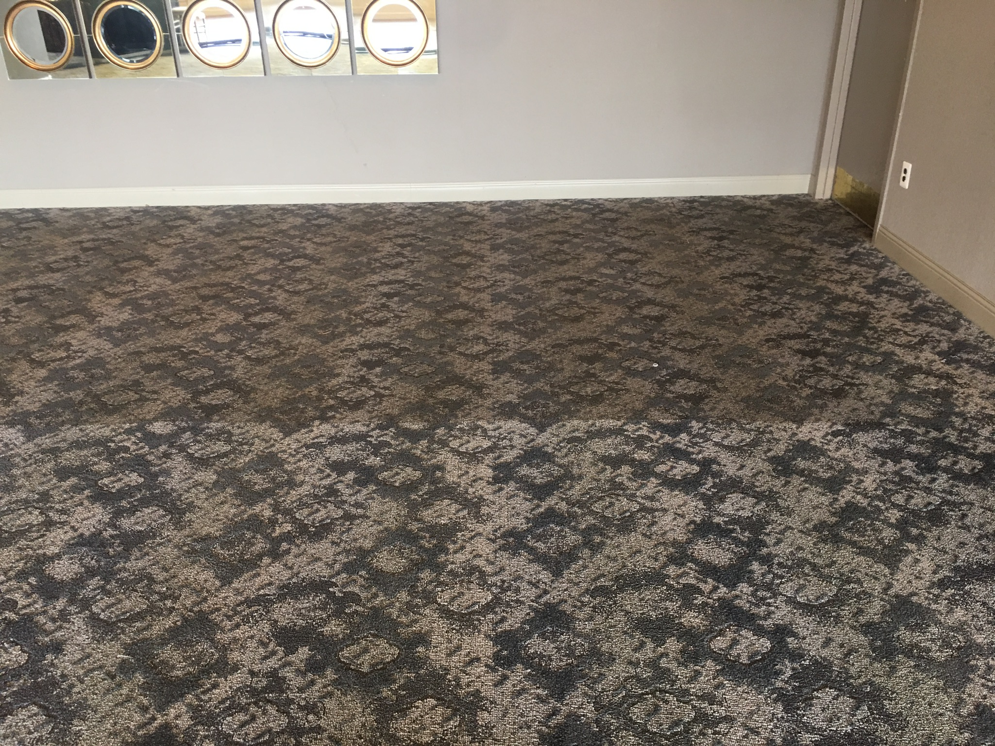Commercial event space after carpet cleaning