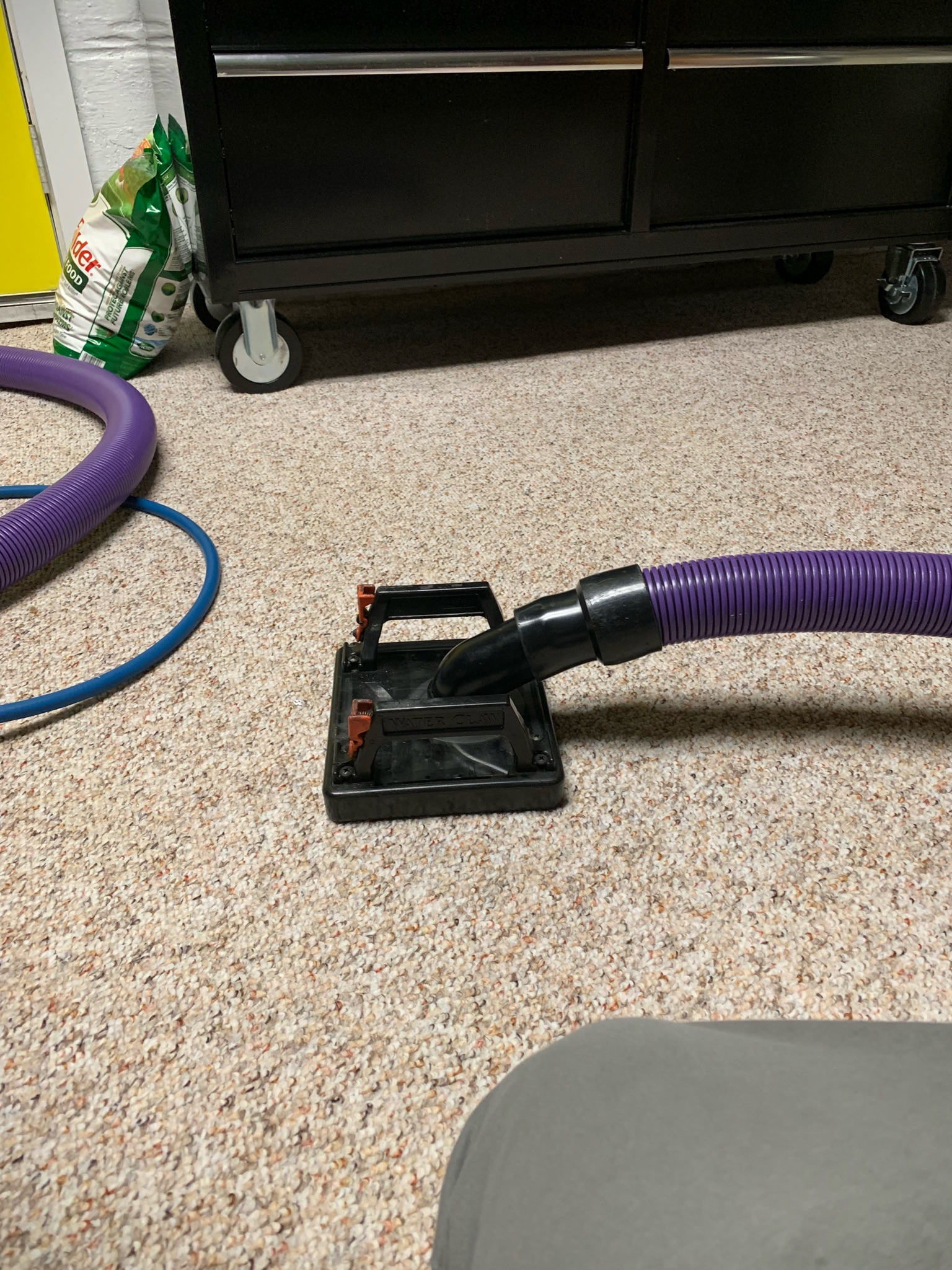 Sub-surface spot extraction tool on carpet with vacuum hose attached